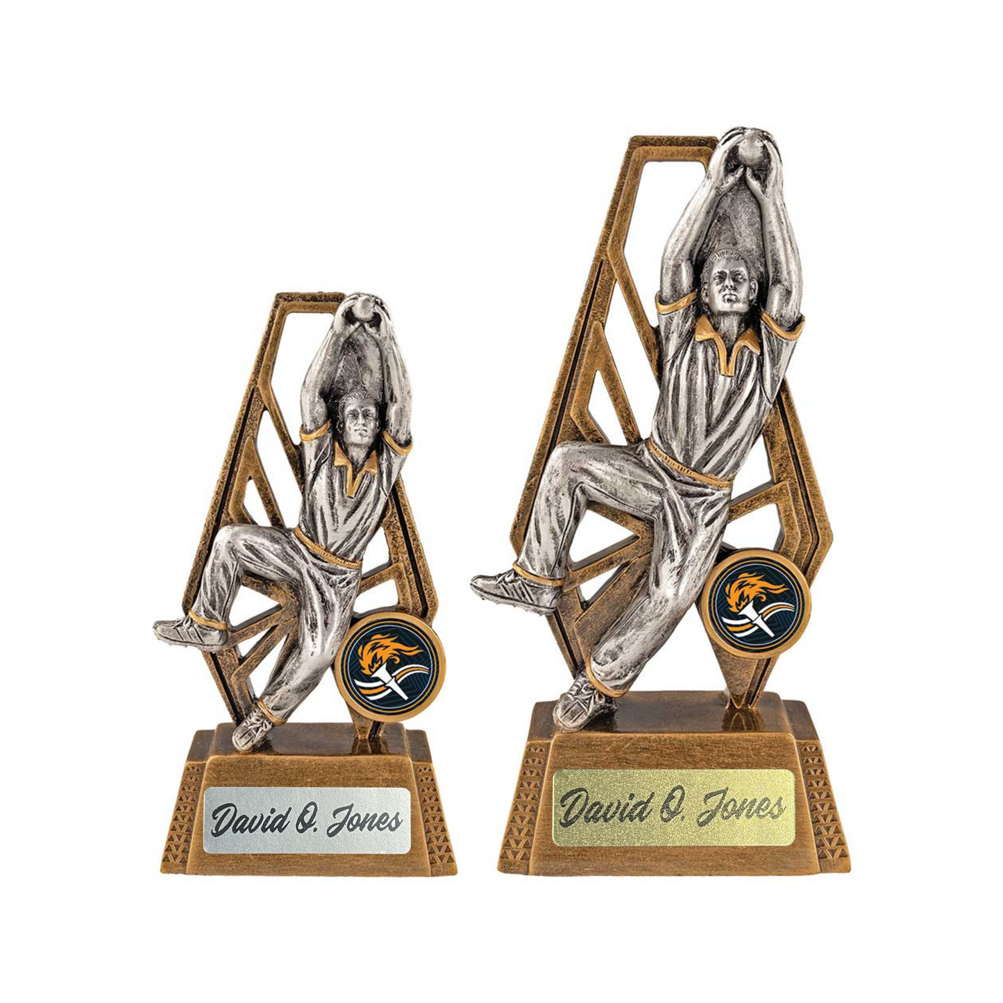 Immense Cricket Fielder Award