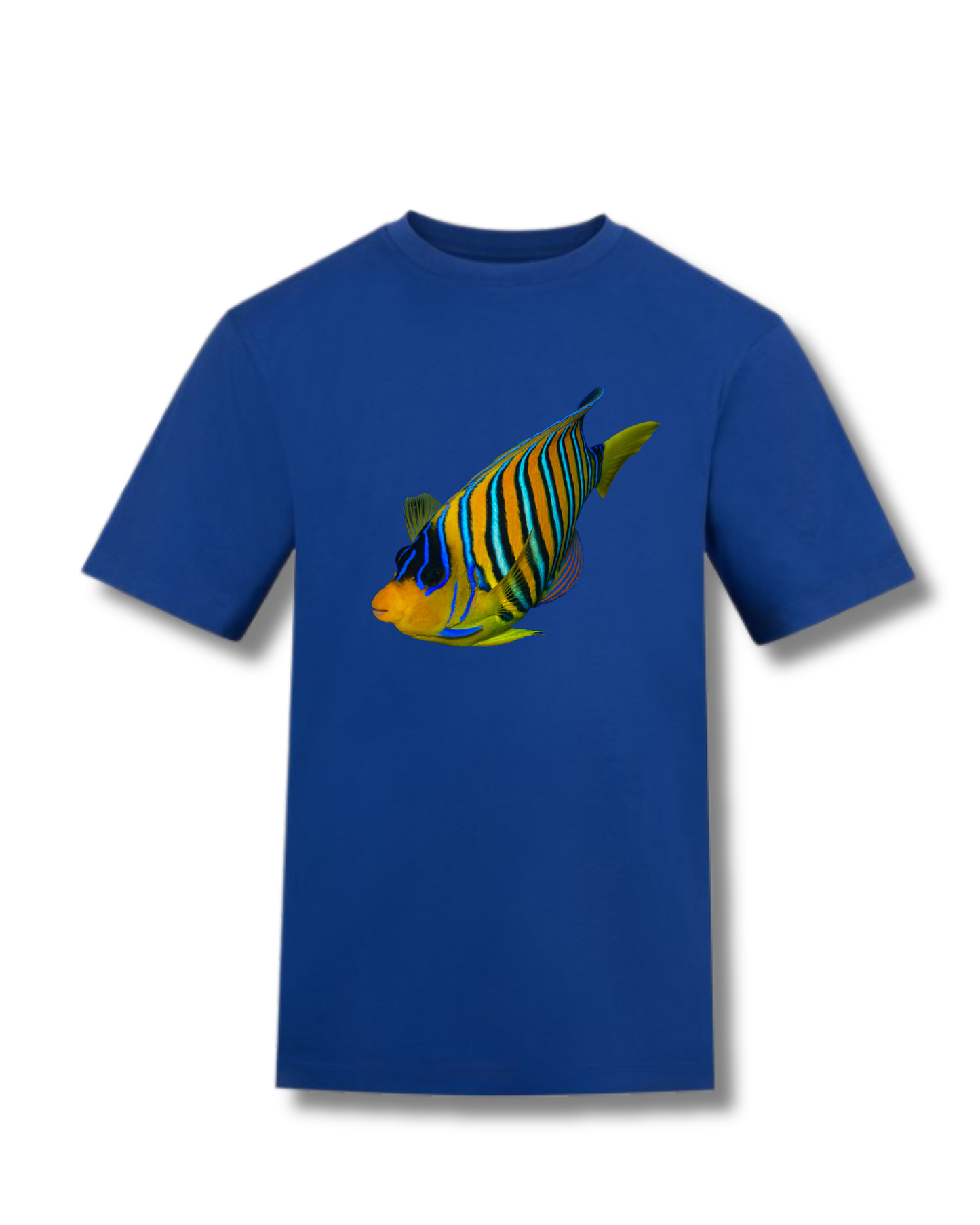 Order For Mr Davidge