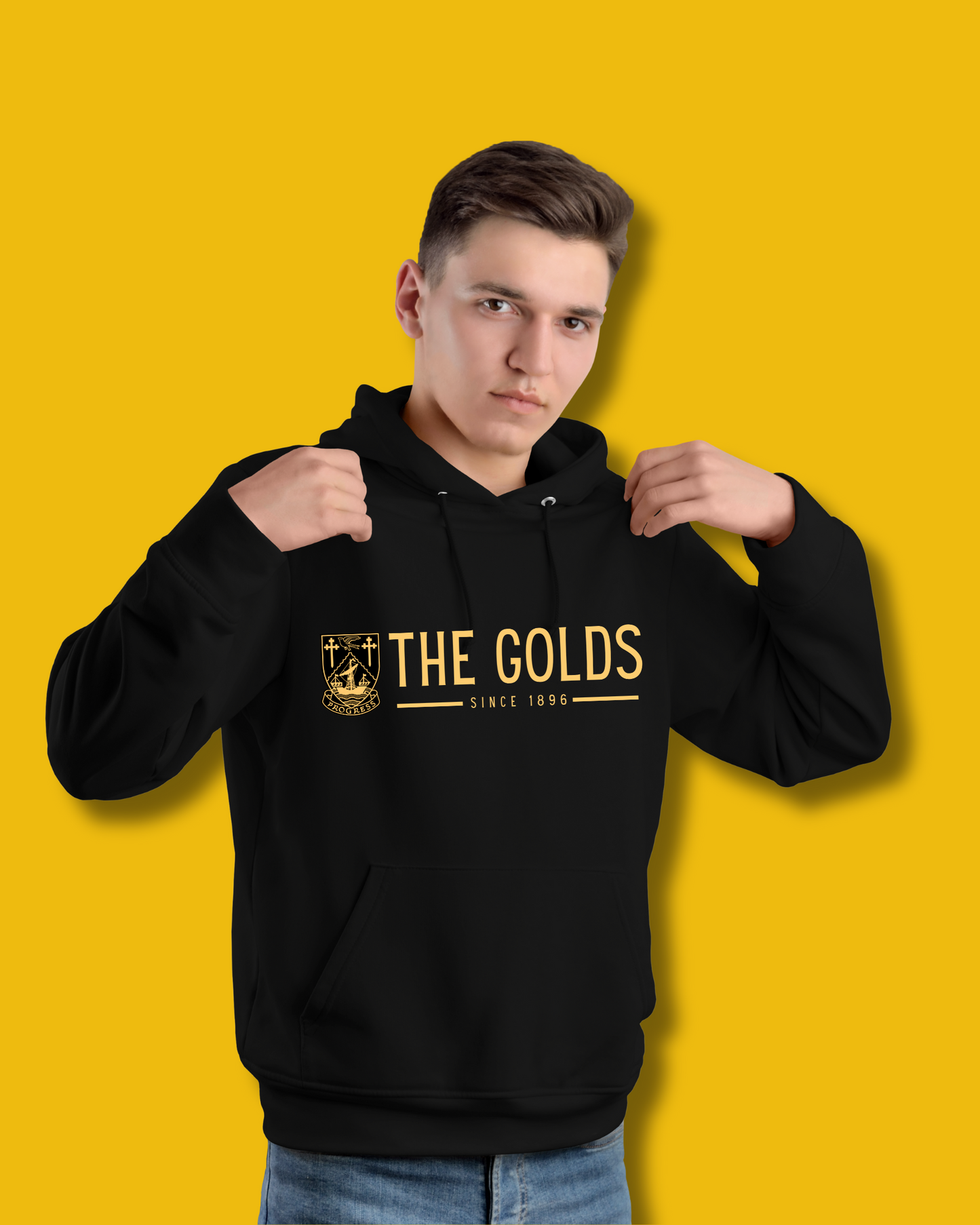 Littlehampton Town FC Supporters Hoodie – Black (Junior & Adult)