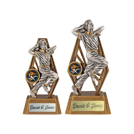 Immense Cricket Bowler Award