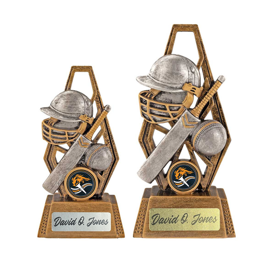 Immense Cricket Award