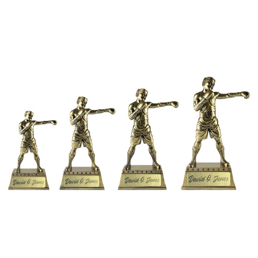 The Classic Boxing Award Trophy