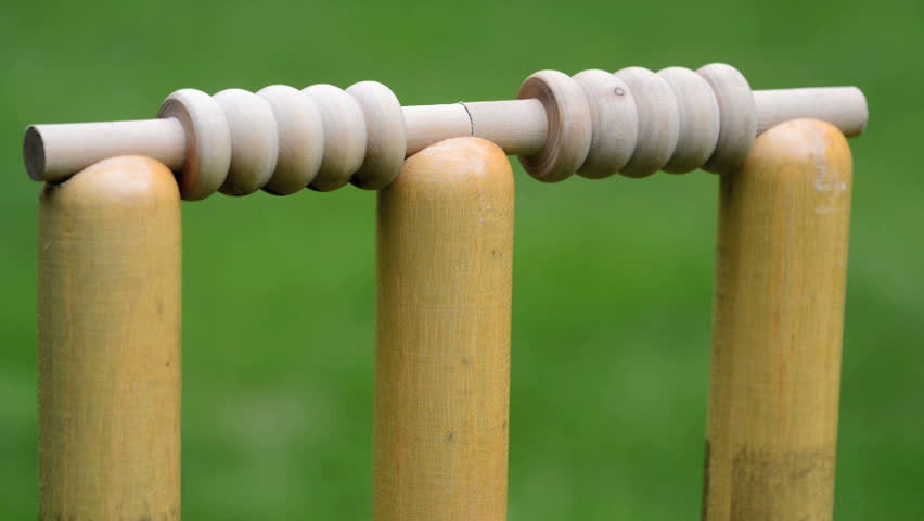 Cricket Bails set