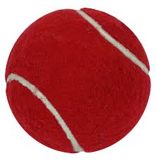 Gray Nicolls Felt Cricket style tennis training ball